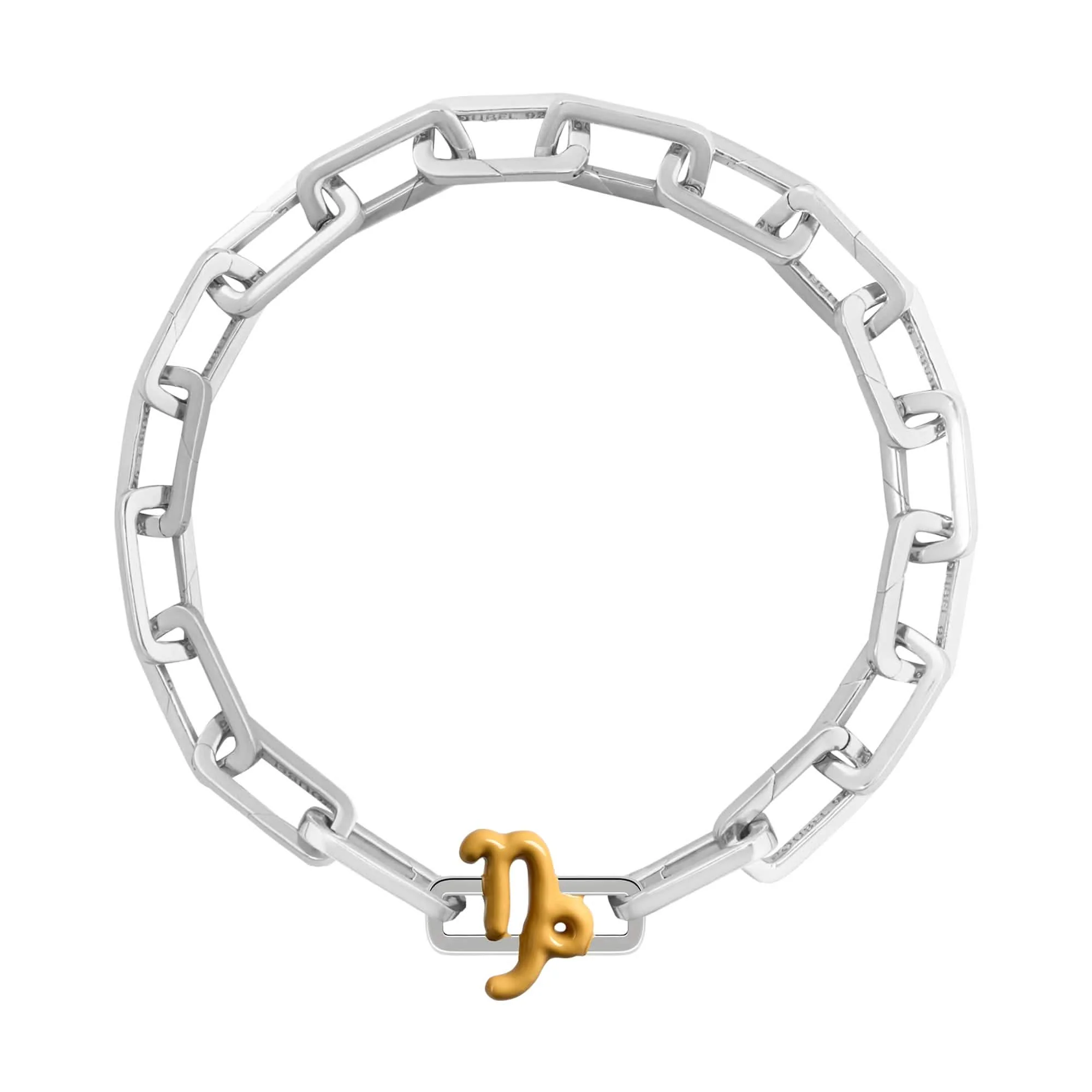 Capricorn Charm - Image 6