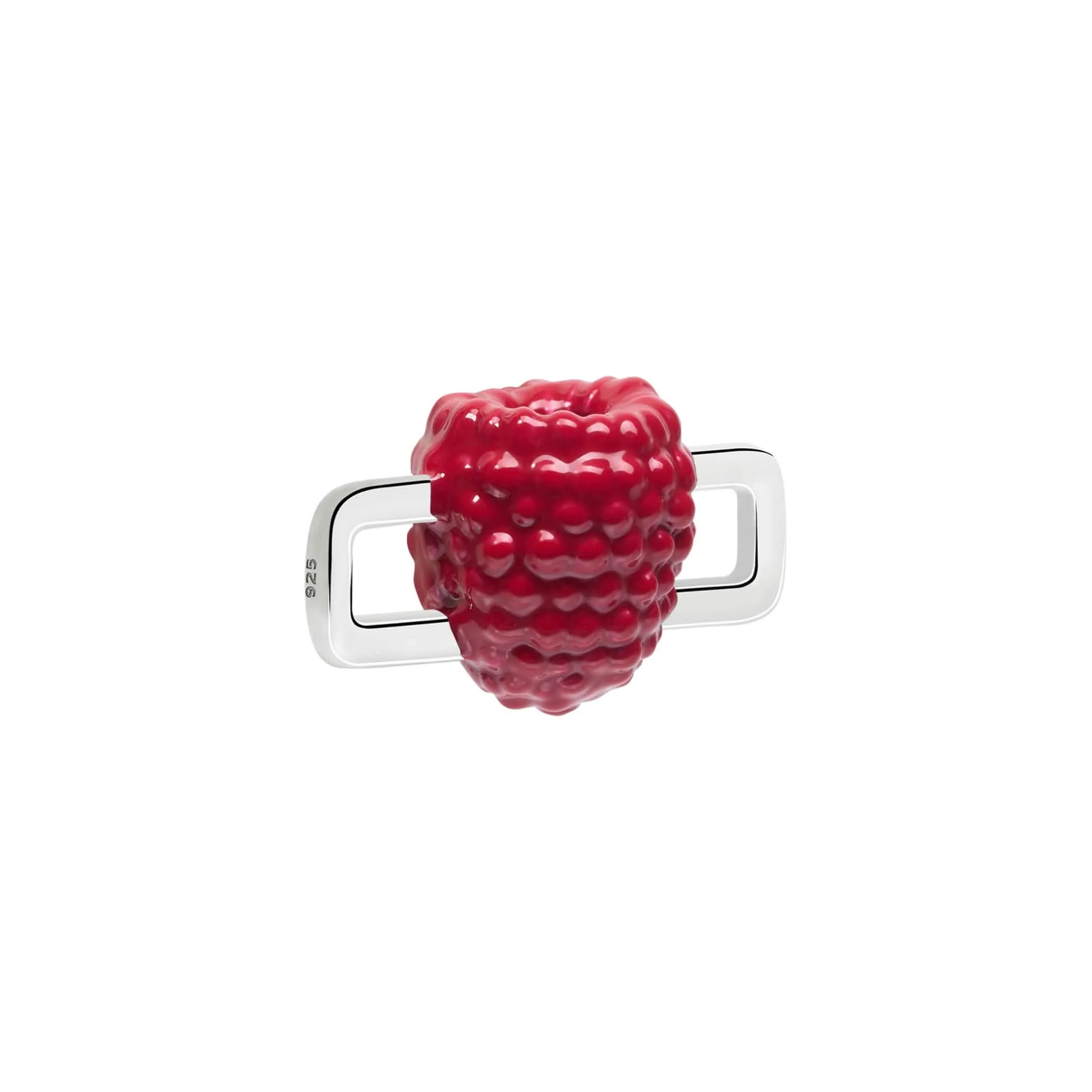 Raspberry Charm - Image 2