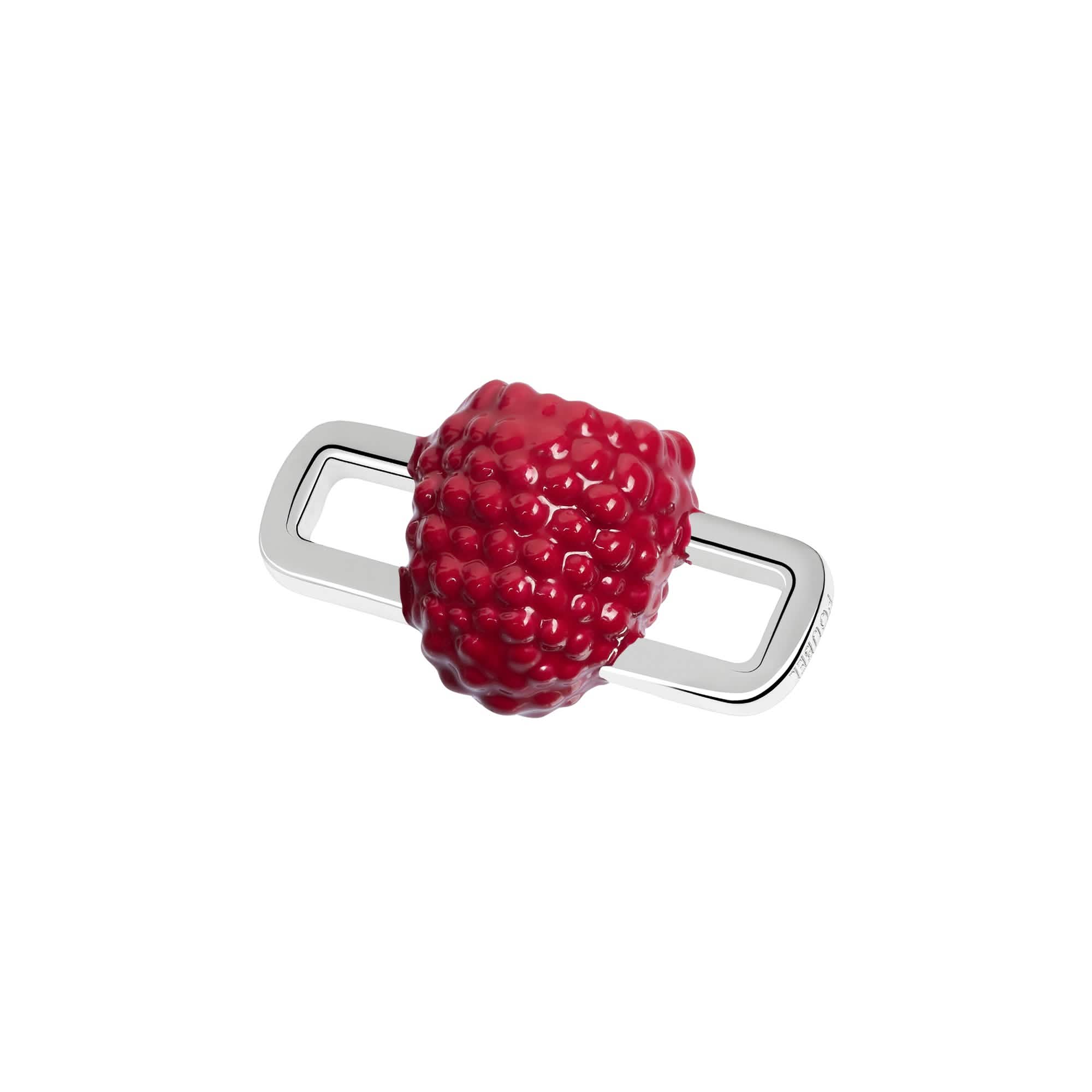 Raspberry Charm - Image 5
