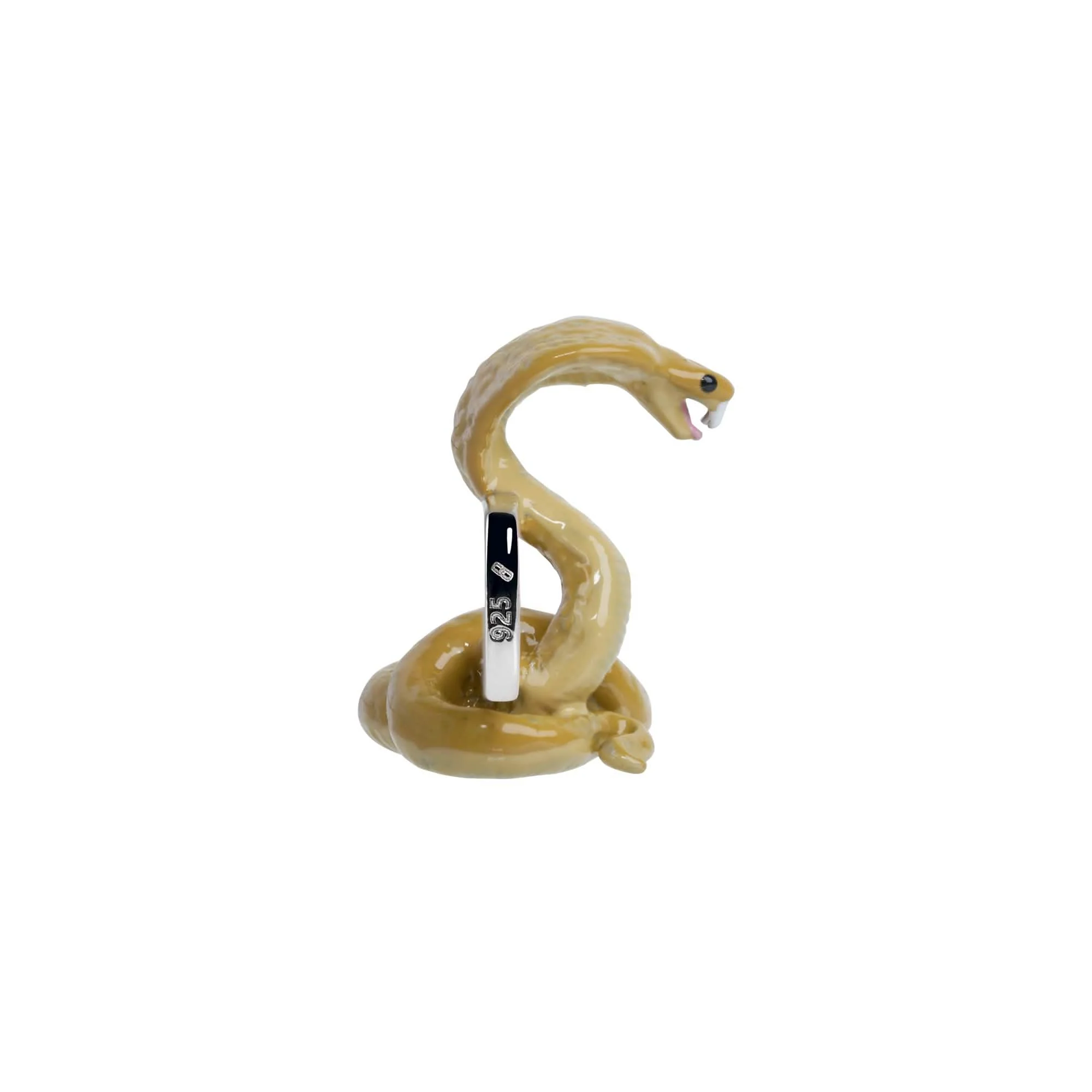 Snake Charm - Image 3